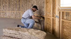 Best Garage Insulation  in Little Cypress, TX