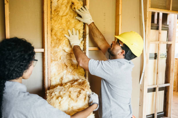 Best Wall Insulation Installation  in Little Cypress, TX