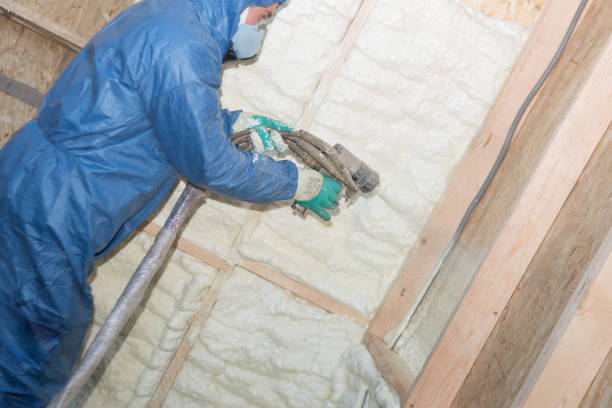 Best Insulation for Existing Homes  in Little Cypress, TX