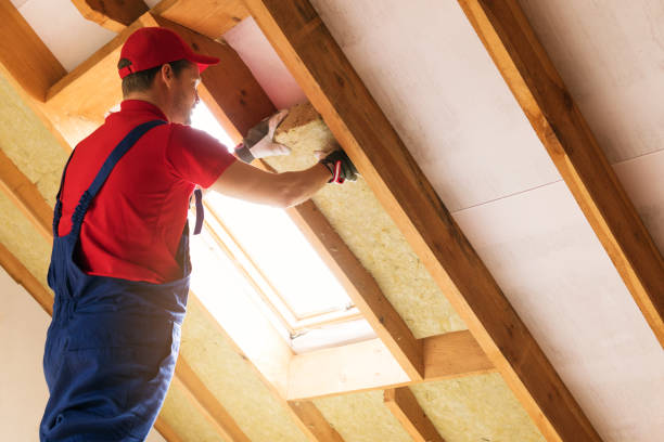 Best Insulation Air Sealing  in Little Cypress, TX